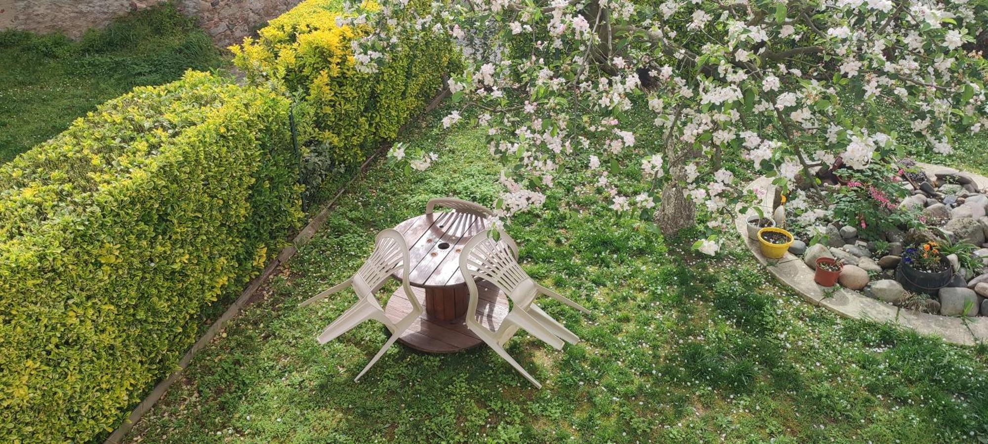 La Maison Du Pecheur Livinhac-le-Haut Esterno foto